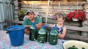 Солим огурчики в колодце! Лучший рецепт.
