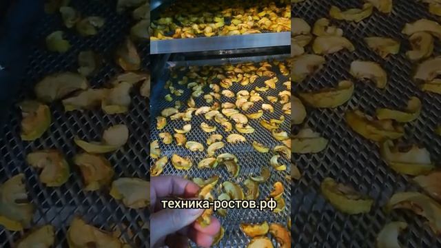 Сушим яблоки дольками в сушильной камере конденсационного типа