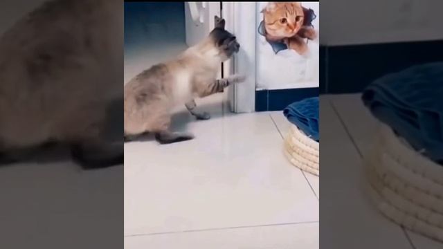 Это что? это как ?