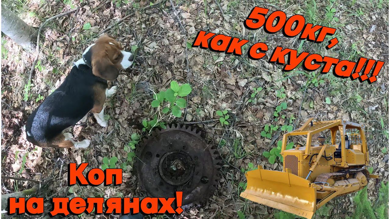 500кг как с куста! Коп металла в лесу.Богатая лесовозная деляна. XP ORX
