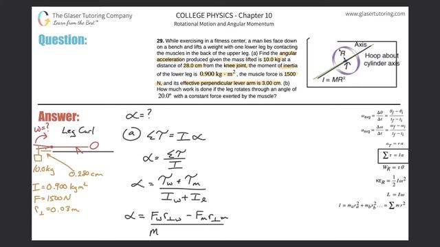 10.29 | While exercising in a fitness center, a man lies face down on a bench and lifts a weight смотреть онлайн