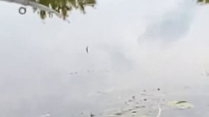 Рыбалка на реке Нерль