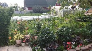 ОБЗОР САДА. Мой сад в начале июля