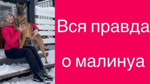 Вся правда о малинуа