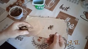Шарики для рогатки.