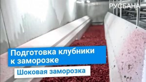 Заморозка клубники  с очисткой  от плодоножки и без