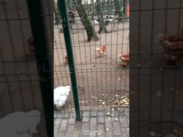 28 октября 2022 г. смотреть онлайн