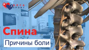 Почему болит спина.