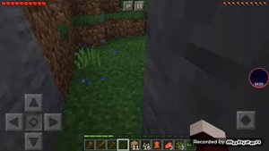 Откуда тут серенаголовий в Майнкрафте????