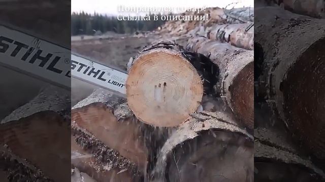 Точилка для цепной пилы с камнями для шлифовальной машины, заточка цепи цепной пилы, заточка цепной смотреть онлайн