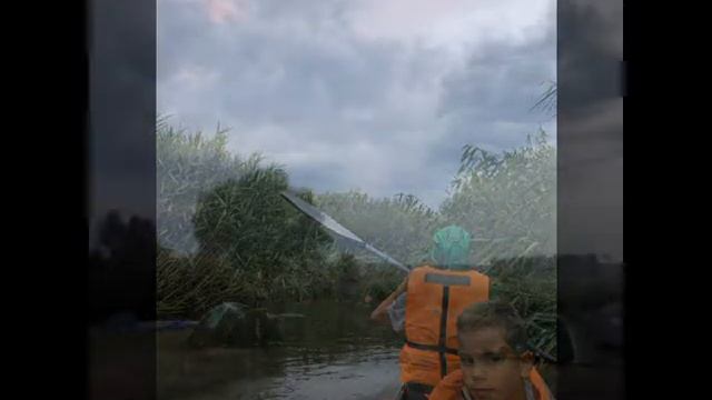 Калейдоскоп_2019 Воронежский биосферный заповедник смотреть онлайн