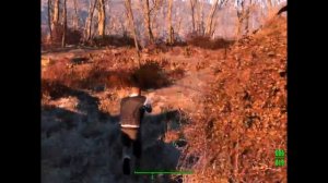 Как в Fallout 4 быстро прокачать SPECIAL