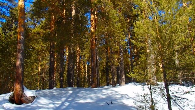 Прогулка в весенний лес на Красный камень , у села Тирлян ! Южный Урал ! Башкортостан ! смотреть онлайн