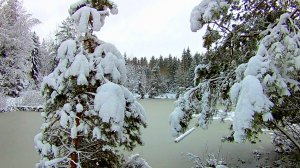 Зима. Живописное озеро в лесу. Звуки живой природы. Видео для отдыха.