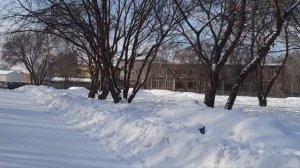 Новосибирск зимой.