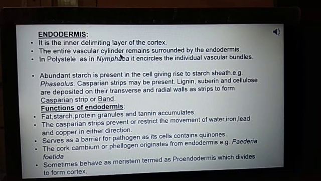 Botany (Hons) Semester II - Video Lecture Dr. Tandra Das on 04-05-2020 смотреть онлайн