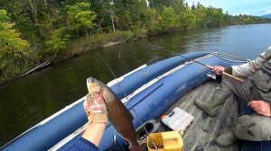 Река ХОР, ТАЙМЕНИ разгибают крючки, ЛЕНКИ атакуют, РЫБАЛКА на горных реках Хабаровского края!!! ?