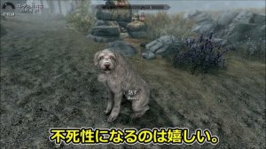 【TES5スカイリムSE/AE # 35】戦士ドヴァキンの道～ミーコMOD導入～【The Elder Scrolls V: Skyrim／Steam／ノーマル／MOD／字幕】