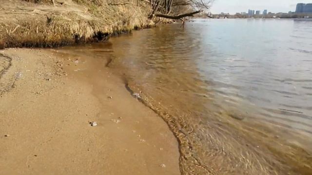 Экскурсия по берегам Большого Строгинского затона - 2020 смотреть онлайн