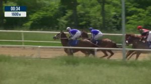 6_скачка_приз_аналогичный