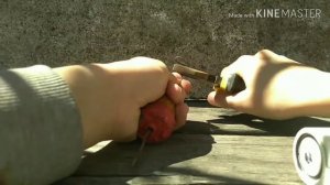 Как сделать СИГНАЛИЗАТОР ПОКЛЁВКИ своими руками!