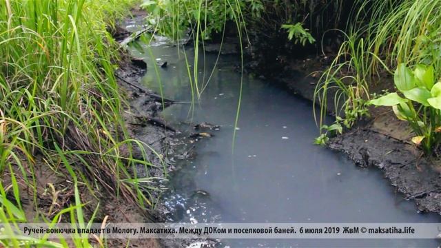Ручей-вонючка сливается в Мологу. Максатиха. смотреть онлайн