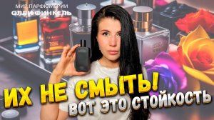 ИХ НЕ СМЫТЬ❗️ ТОП 10 СТОЙКИХ АРОМАТОВ