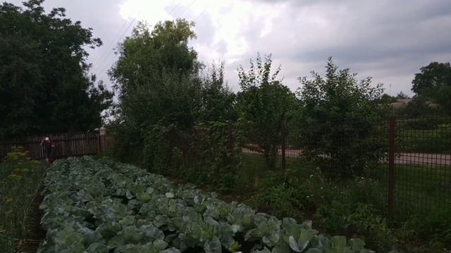 Ручной культиватор помощник мотоблока смотреть онлайн