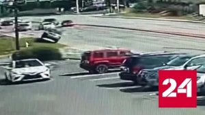 Пчела спровоцировала массовую аварию в Джорджии - Россия 24