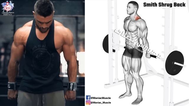 9 BEST EXERCISE TRAPS WORKOUT ?