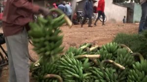 БУРУНДИ - БЕДНЕЙШАЯ СТРАНА ПЛАНЕТЫ