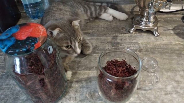 Глядишь и подружатся// Атака голубей// Удобрение органическое смотреть онлайн