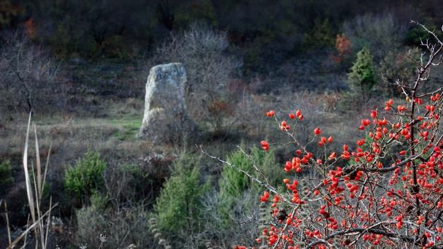 Древний Календарь. Бахчисарайский менгир. Крым.