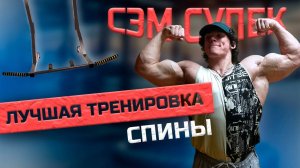 СЕКРЕТЫ ЗДОРОВОЙ СПИНЫ СЭМА СУЛЕКА _ Сэм Сулек на Русском