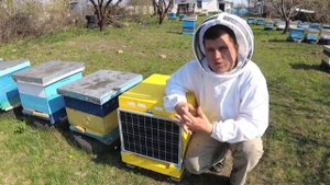 Умный Улей ✅ Amohive