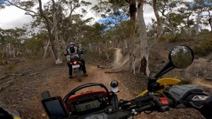 HONDA CRF300L | A Masterclass In Versatility
