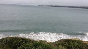 Песня про Сан Франсиско. San Francisco Song. Official Music video.