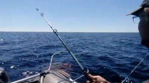 Рустам тащит Лосося.Онежское озеро.