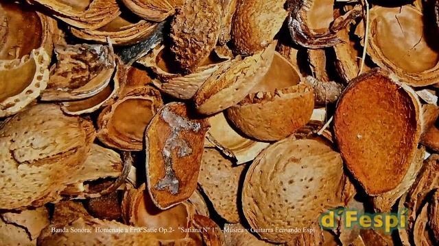 HOMENAJE A ERIK SATIE Op2-Música y Guitarra Fernando Espí-Almendras- Prunus dulcis- Prunus amygdalu смотреть онлайн