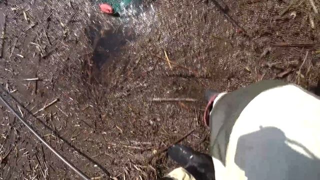 Душевная рыбалка на поплавок в мае. Ловля на удочку в Тихих Красивых Заливных лугах