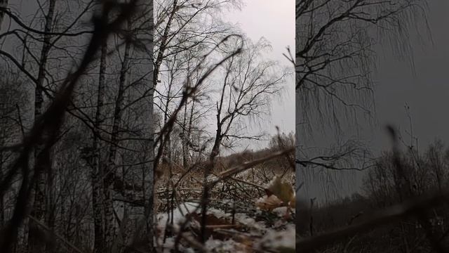 Зимние покатушки на фэтбайках #электрофэтбайк