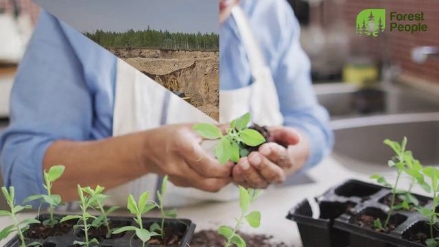 Что такое рациональное природопользование?