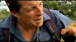 Беар Гриллс ест огромную личинку