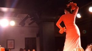 Страстное испанское фламенко в красном. Профессиональные танцоры.