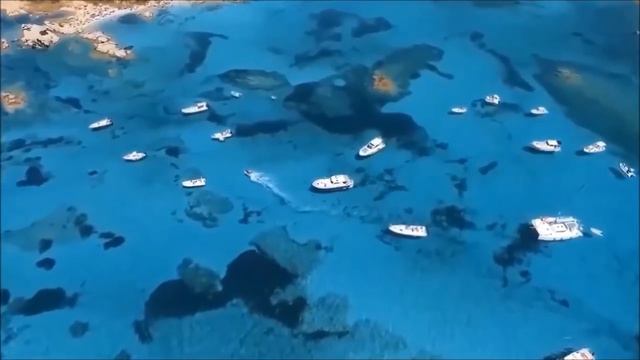 ЭНЕРГИЯ ДУШИ - это Божественные качества: Доброта, Милосердие, Бескорыстие и безграничная Любовь...