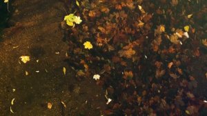 Стихотворение "Зайчик" Александр Блок