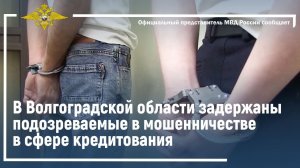 Ирина Волк: В Волгоградской области задержаны подозреваемые в мошенничестве в сфере кредитования