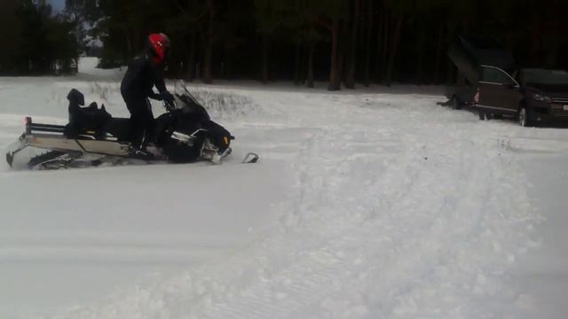 BRP lynx in forest смотреть онлайн