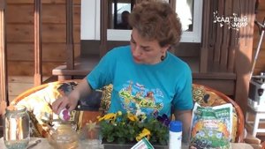 Как вырастить Анютины глазки. Сайт Садовый мир"