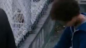 Поставил цель   добейся! И точка!  В погоне за счастьем